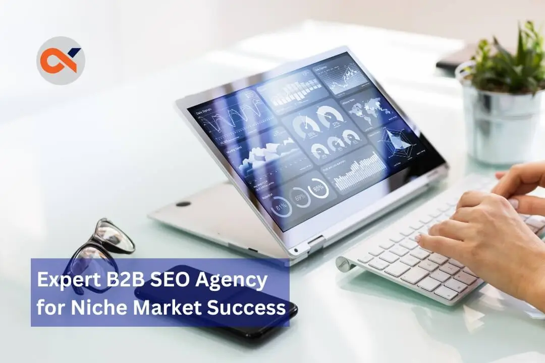 Expert B2B SEO Agency for Niche Market Success